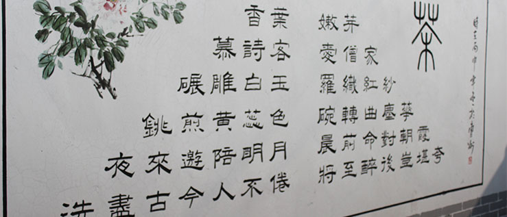 公司风采